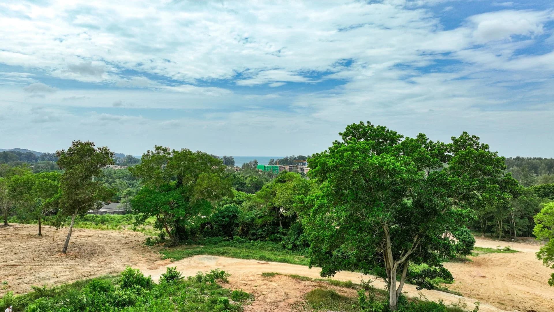 Tree-framed Layan Verde site with the coastline beyond