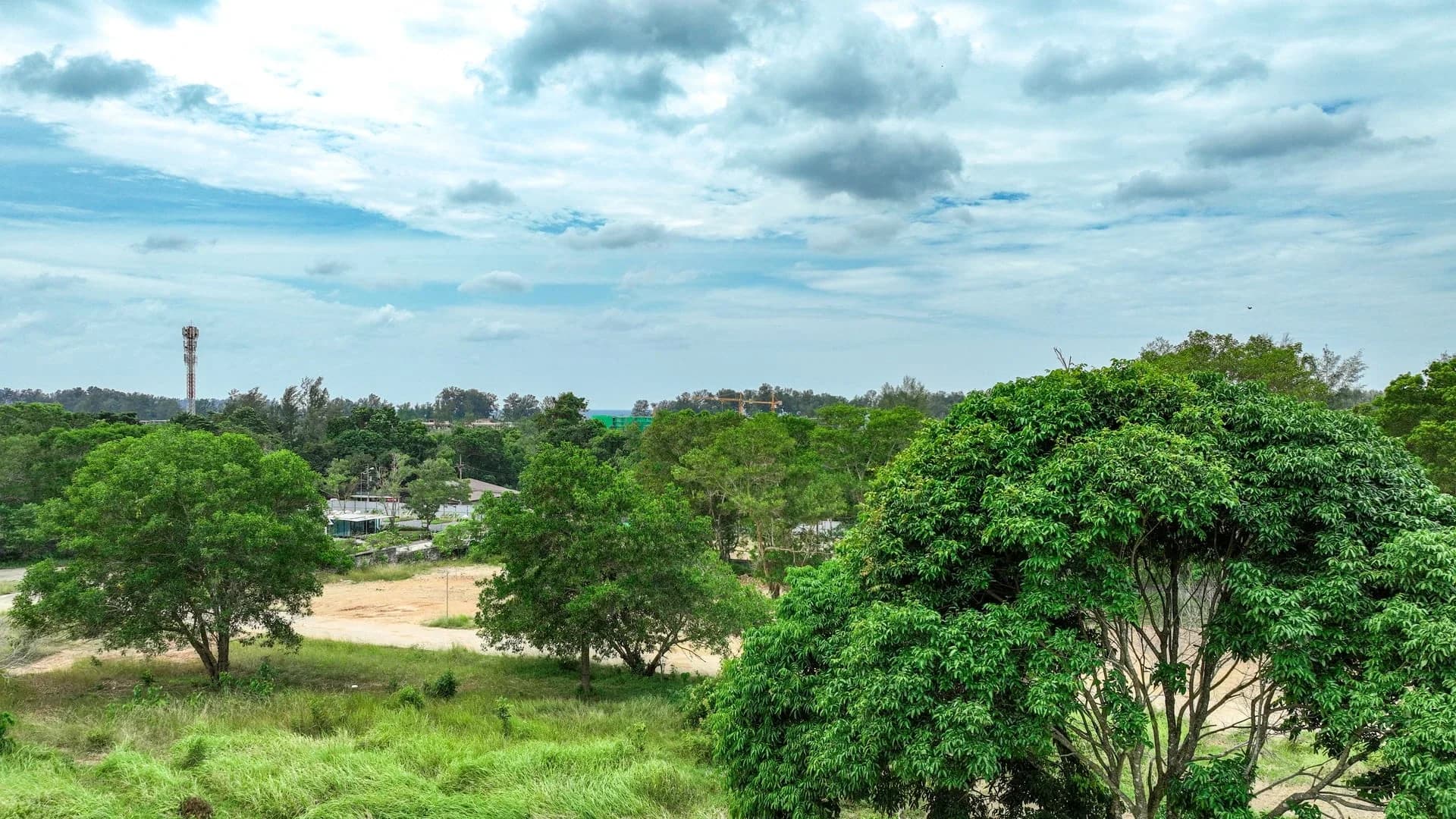 Tree canopy and sea-facing works viewed from the Layan Verde hillside