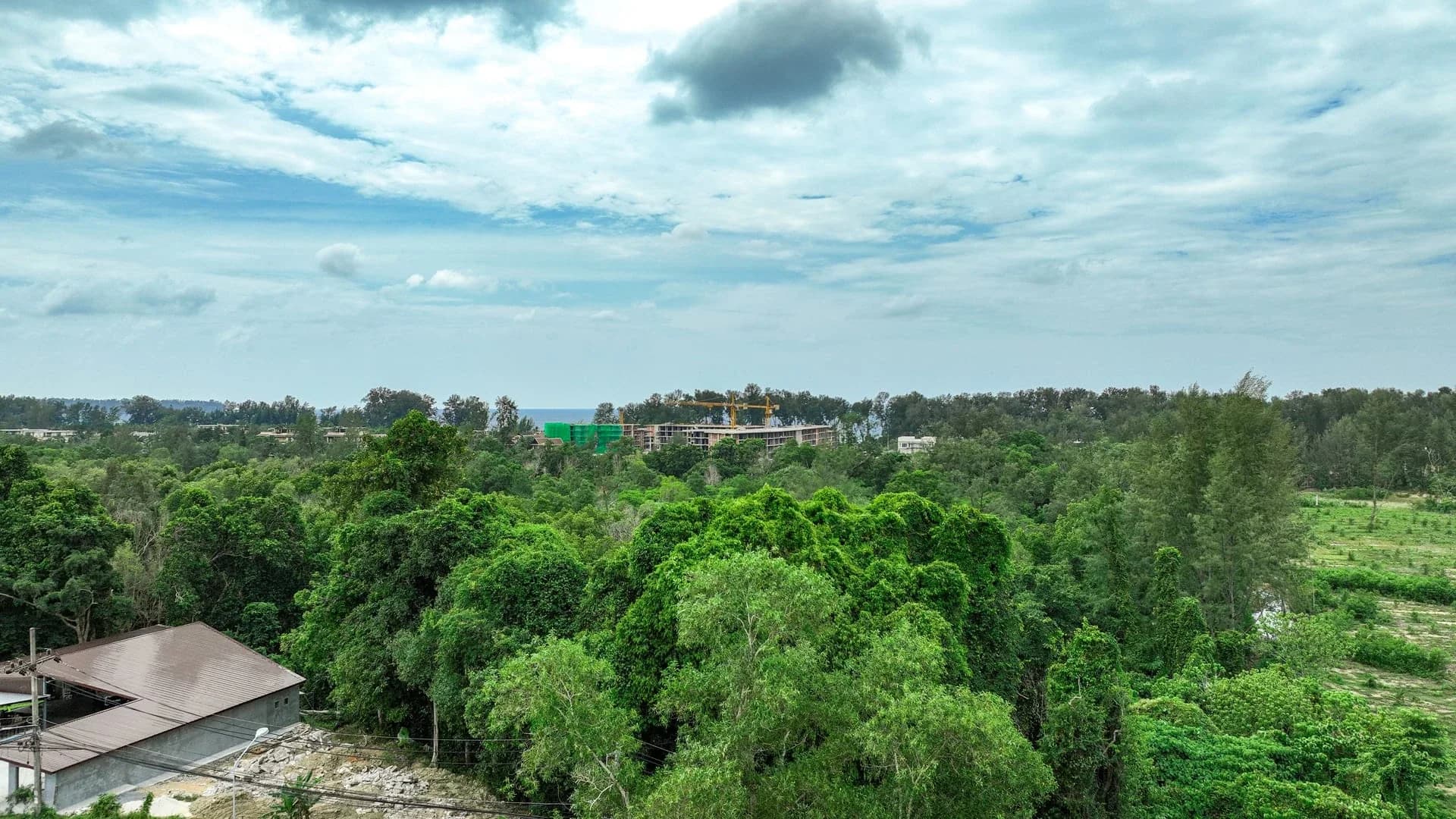 Tropical canopy between the Layan Verde site and sea-facing construction